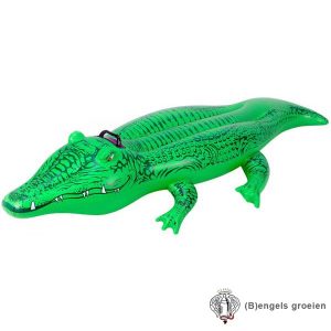 Ride-on – Opblaasbaar – Krokodil